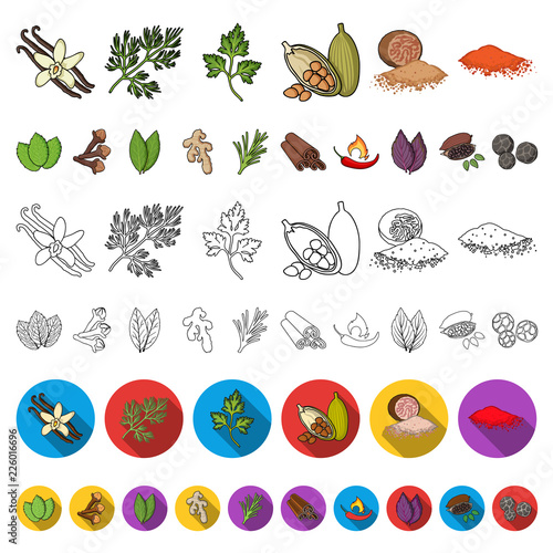Herb and spices cartoon icons in set collection for design.Different kinds of seasonings vector symbol stock web illustration.