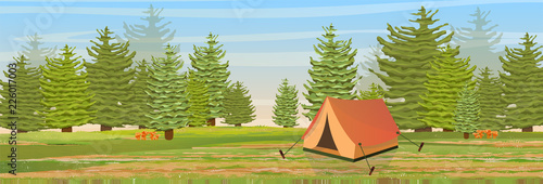 Spruce forest. Trees and mushrooms chanterelles. Vector landscape. Orange tent for tourism and recreation.