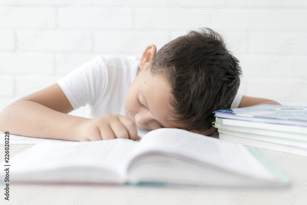 schoolboy doing homework studying science studyin, isolated on white background schoolboy doing homework studying science studyin, isolated on white background