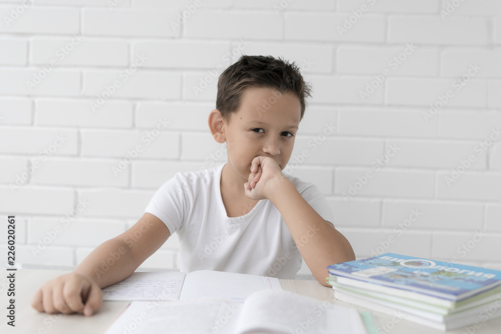 schoolboy doing homework studying science studyin, isolated on white background schoolboy doing homework studying science studyin, isolated on white background