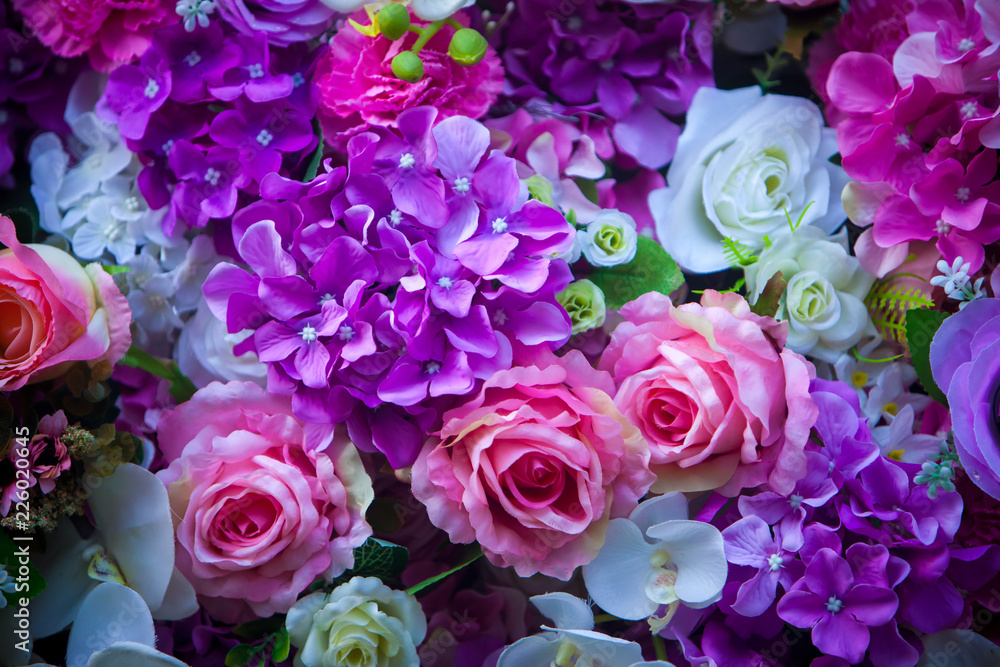 Beautiful wall made of violet purple flowers, roses, valentines day background / Beautiful flowers wall from wedding celebration