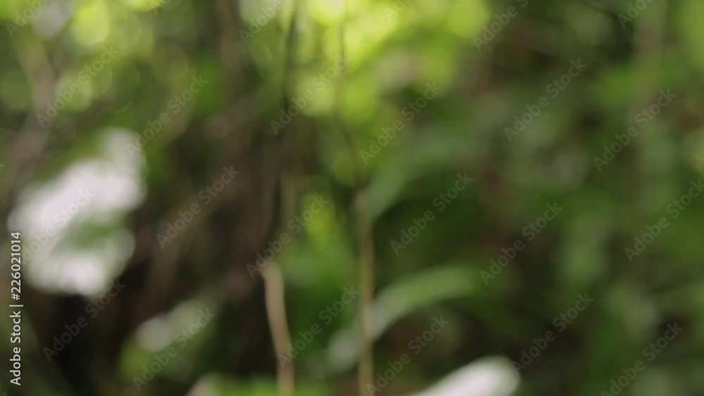 A grasshopper jumping off a person's hand A grasshopper jumping off a person's hand
