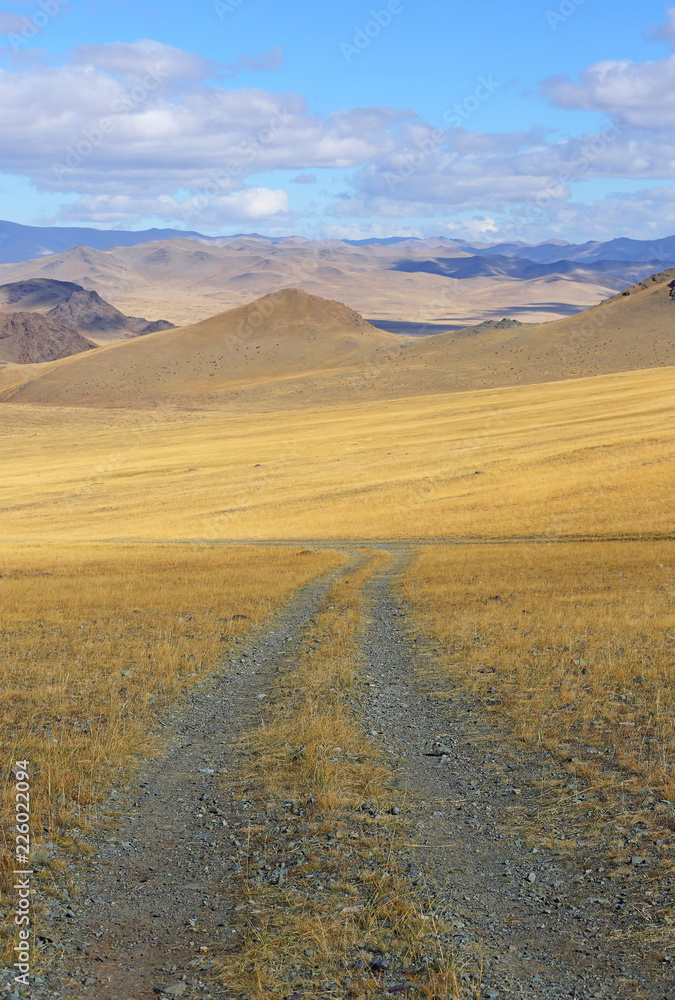 Landscape of winding dirt road through rolling hills of Western Mongolian steppe