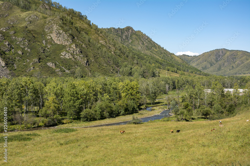 The valley of the river Sema in the Altai