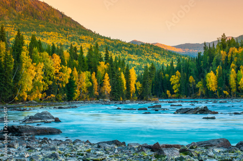 River flowing out of the Kanas Lake at Autumn, Xinjiang, China, The tree color is changed to yellow, Sky beautiful on the background photo