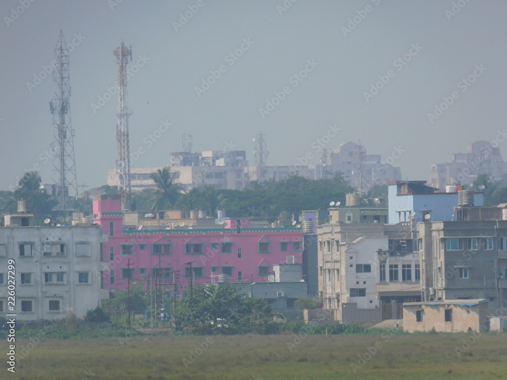 Fototapeta premium nature and wildlife