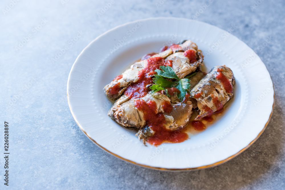 Fish Appetizer Sardine in Tomato Sauce. Fish Appetizer Sardine in Tomato Sauce.