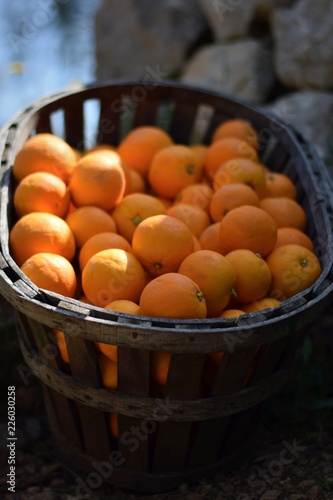sale of oranges in a village in the mountains of Mallorca  Spain