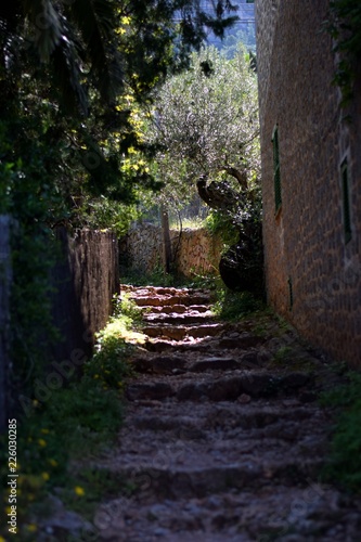 Hidden hall in the mountains of Mallorca, Spain