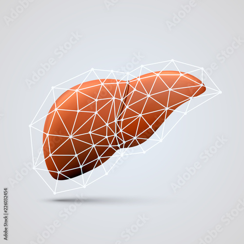 liver sign medical object art. Vector Illustration