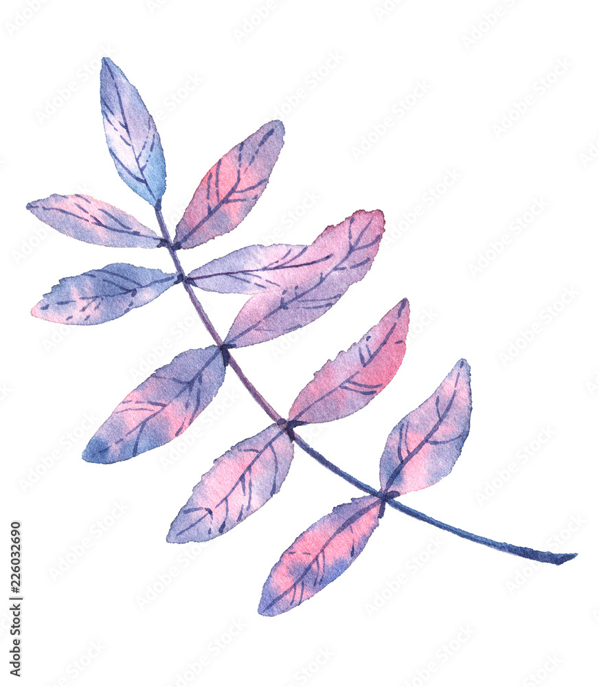 Set with watercolor winter leaves. Frozen autumn. Set with watercolor winter leaves. Frozen autumn.