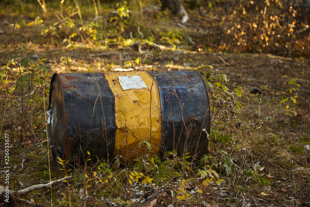 Barrel in the forest. Environmental pollution.