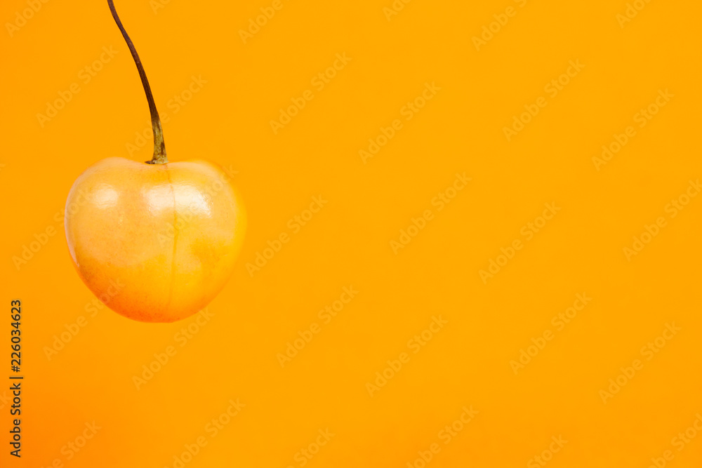 Obraz premium Yellow cherry hanging on a orange background