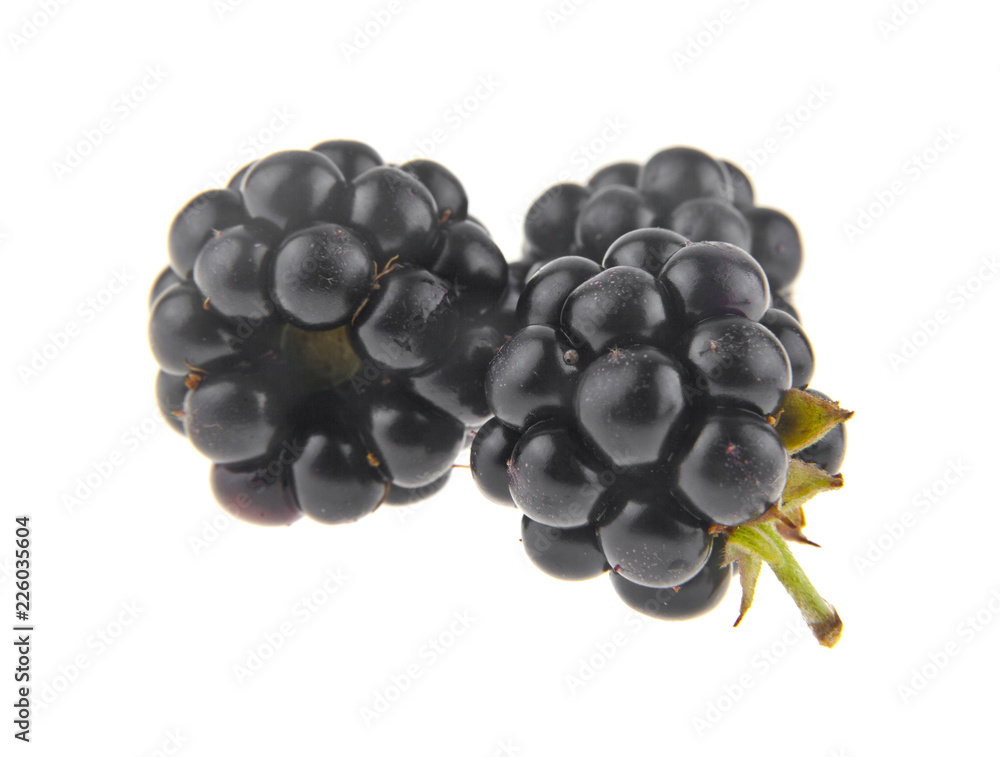 berries blackberries isolated on white background berries blackberries isolated on white background