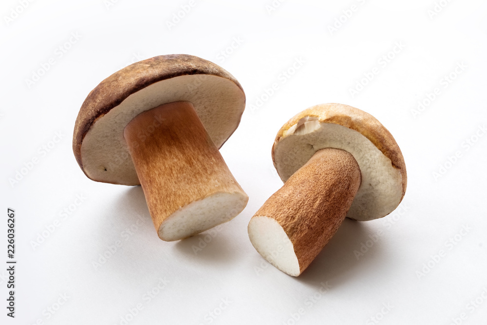 fresh penny bun mushrooms on light background fresh penny bun mushrooms on light background