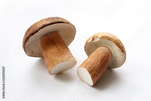 fresh penny bun mushrooms on light background