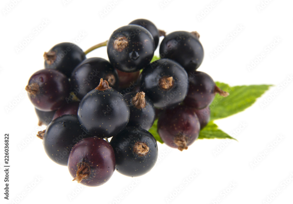 fresh, juicy black currant isolated on white background fresh, juicy black currant isolated on white background