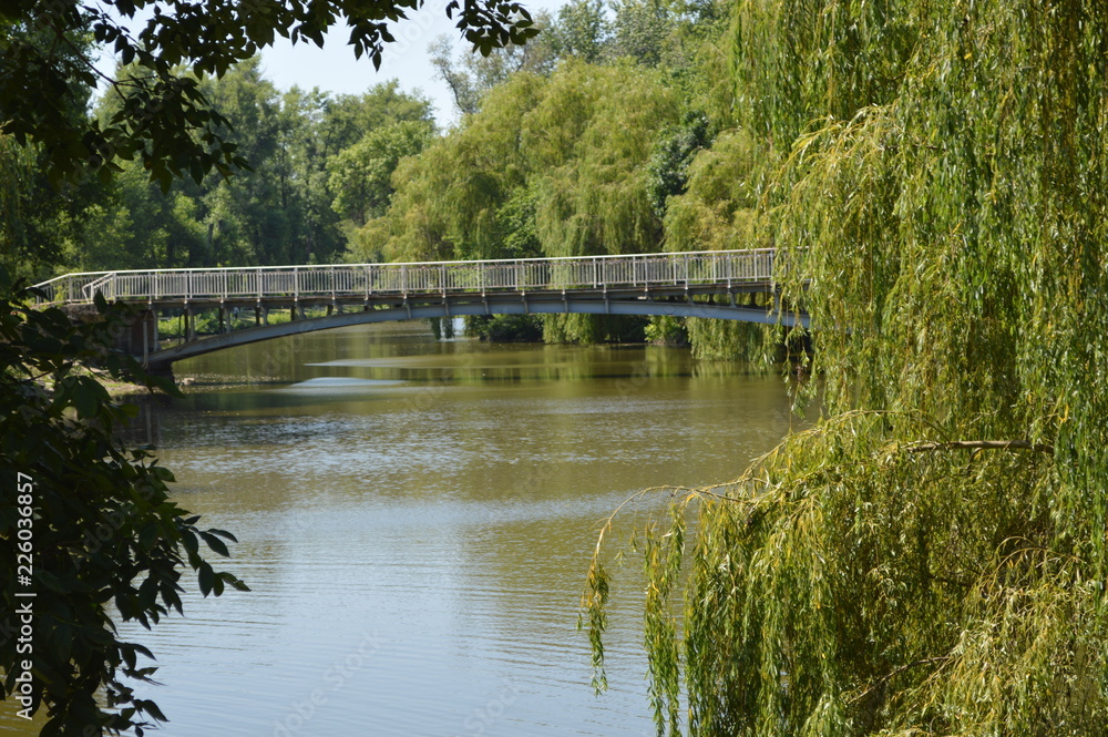 Obraz premium Zaporozhye. Dubo Guy