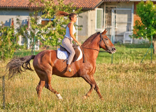 Una ragazza felice sul suo cavallo © nicolagiordano