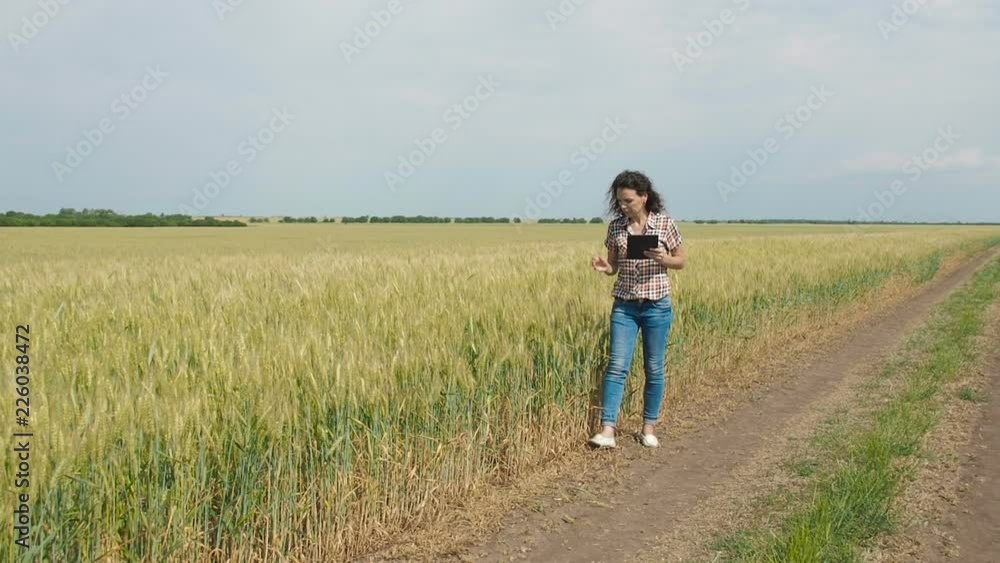 Agronomist in the field. Woman with a tablet in a wheat field. Agronomist in the field. Woman with a tablet in a wheat field.