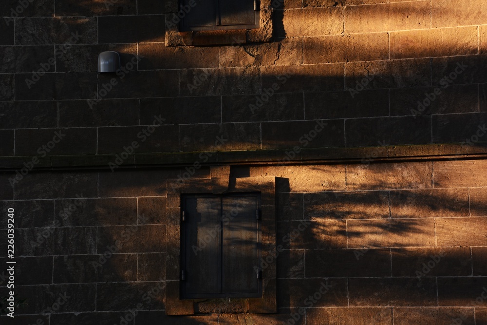 The mysterious old house in the forest / Background