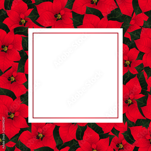Red Poinsettia Christmas Ba...