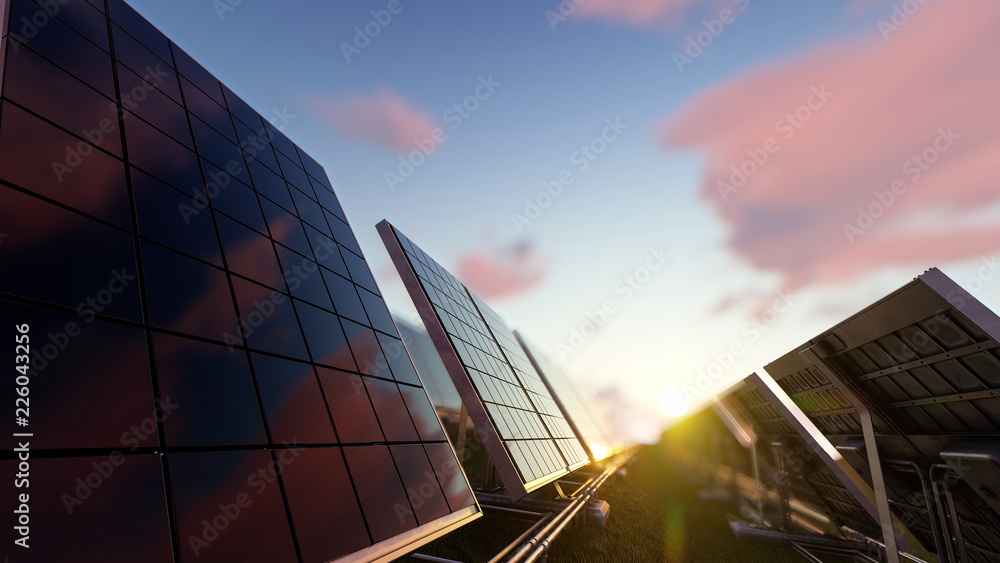 Solar Panels in Daylight 3d rendering