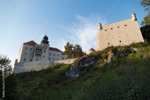 piskova skala castle in Ojcow valley in southern poland