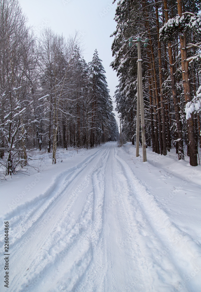 Snow road in the forest in winter Snow road in the forest in winter