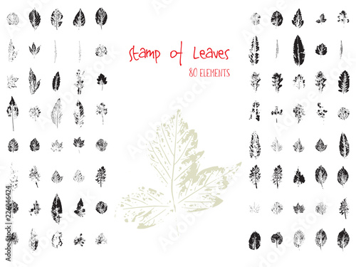 Collection of black paint seal leaves of trees and plants