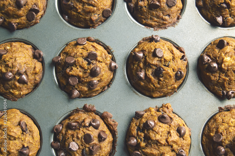 Homemade Freshly baked Healthy pumpkin chocolate chip muffins in metal muffin pan Homemade Freshly baked Healthy pumpkin chocolate chip muffins in metal muffin pan