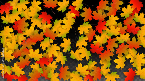September Vector Background with Golden Falling Leaves. Autumn Illustration with Maple Red, Orange, Yellow Foliage. Isolated Leaf on Transparent Background. Bright Swirl. Suitable for Posters.