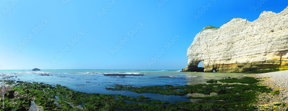 Picturesque panoramic landscape on the cliffs of Etretat at low tide and sunset, Normandy, France. Rocky coastline, sea horizon. Algae at the beach of Etretat. Effects of the ebb