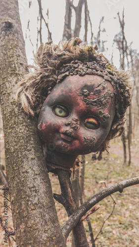 Old damaged burnt head from a baby doll on a tree