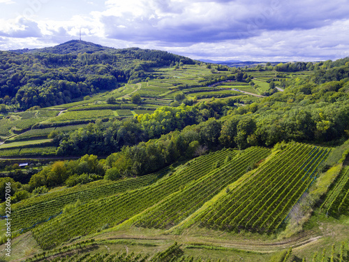 Weinberge von oben Drohne 