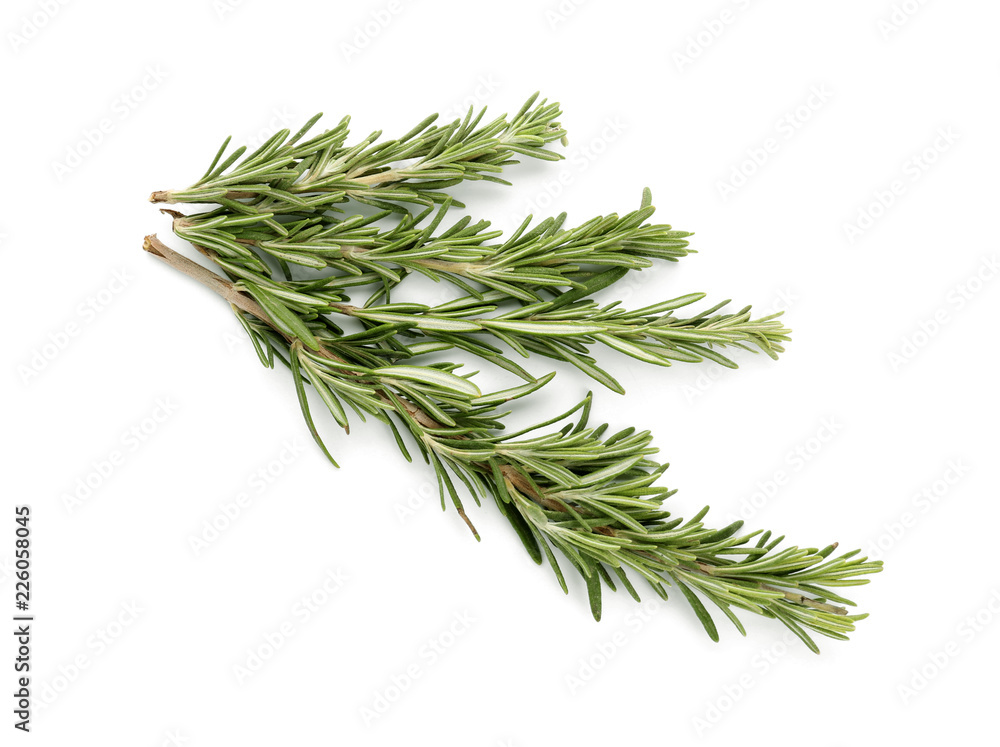 Fresh green rosemary on white background Fresh green rosemary on white background