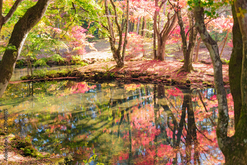 雲場池の紅葉