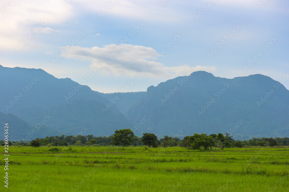 natural view of green rice farm with countryside mountain sky background.