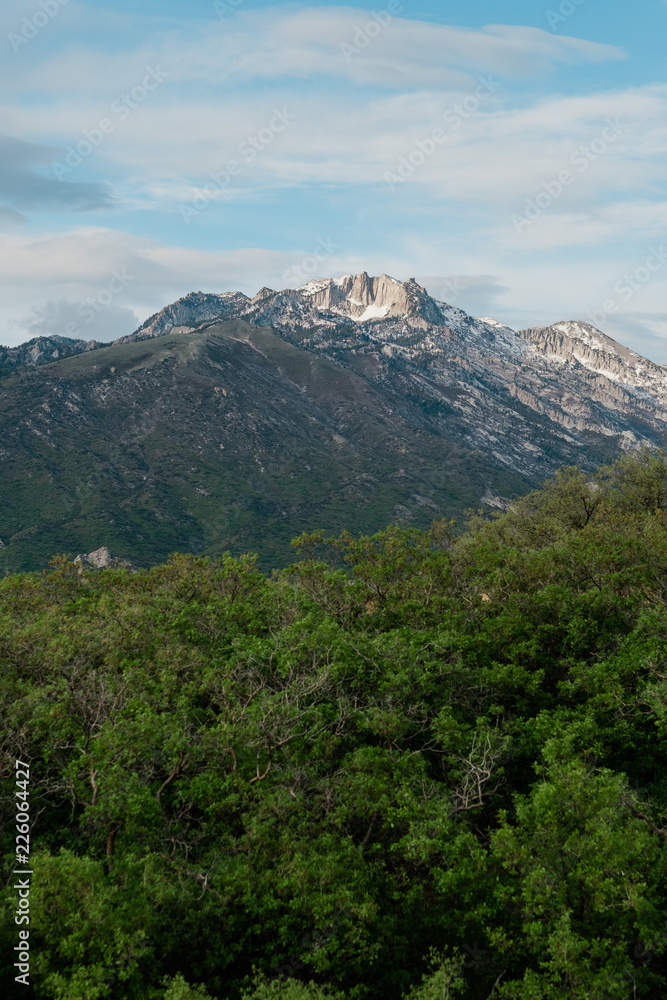 Lone Peak Mountain over a Scrub Oak Forest