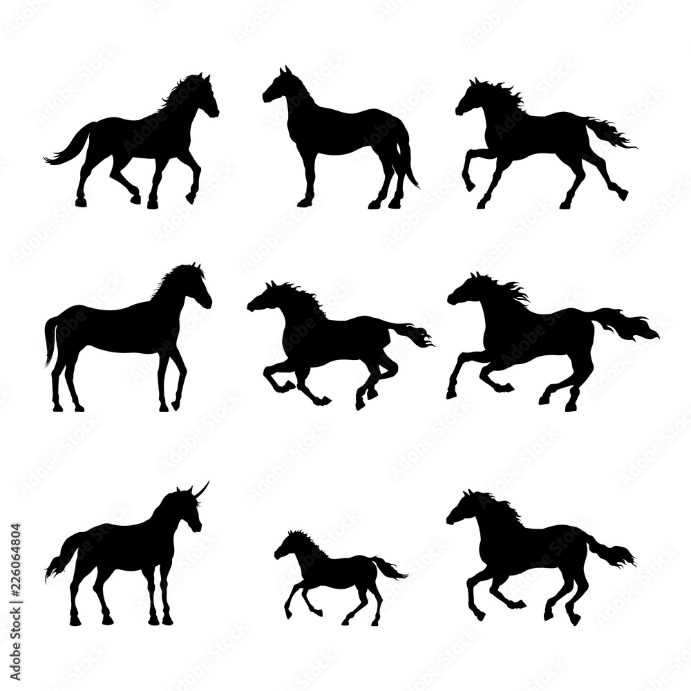 Collection of black silhouettes of horses. Isolated detailed drawing of mustang on white background. Side view. Western landscape