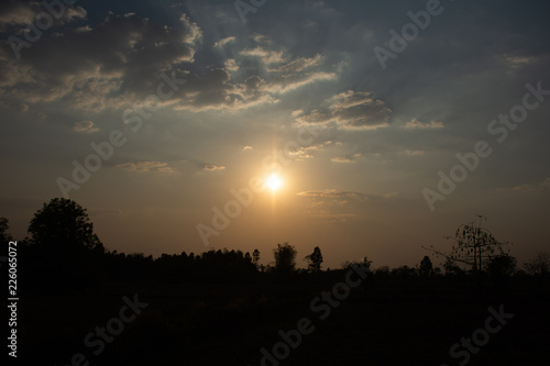 sunset in the forest