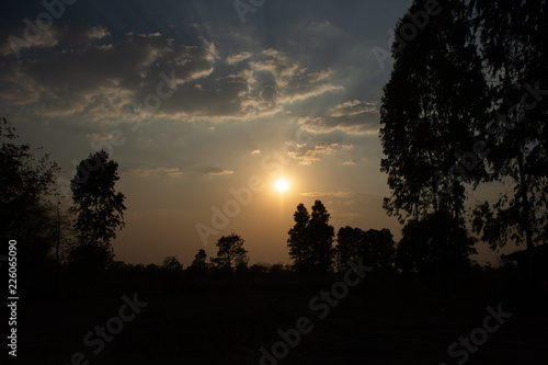 sunset in the forest. sunset sky background.