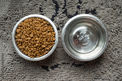 Dog food and water bowls