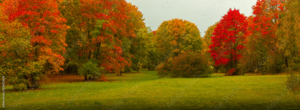 Fototapeta premium autumn panorama