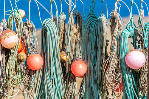 Ropes and buoys driving in autumnal sunlight