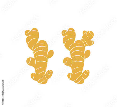 Ginger logo. Isolated ginger on white background