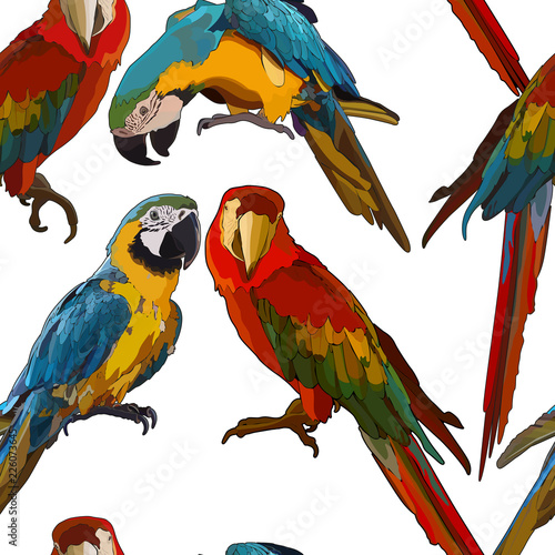 Seamless background with Ara parrots in vector