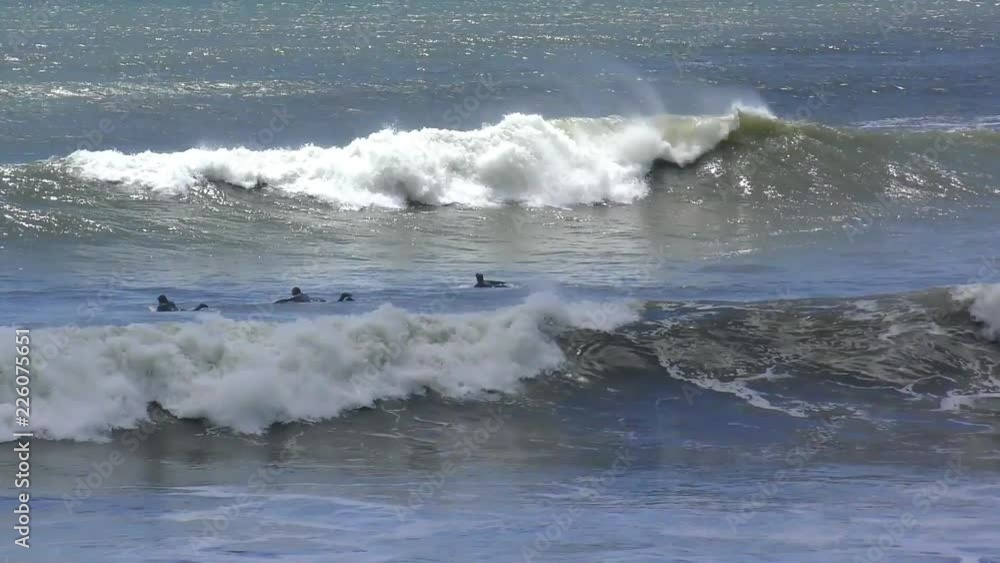 Unidentified surfers at Ano Nuevo State Park, Santa Cruz County, California, USA, 2018 Unidentified surfers at Ano Nuevo State Park, Santa Cruz County, California, USA, 2018