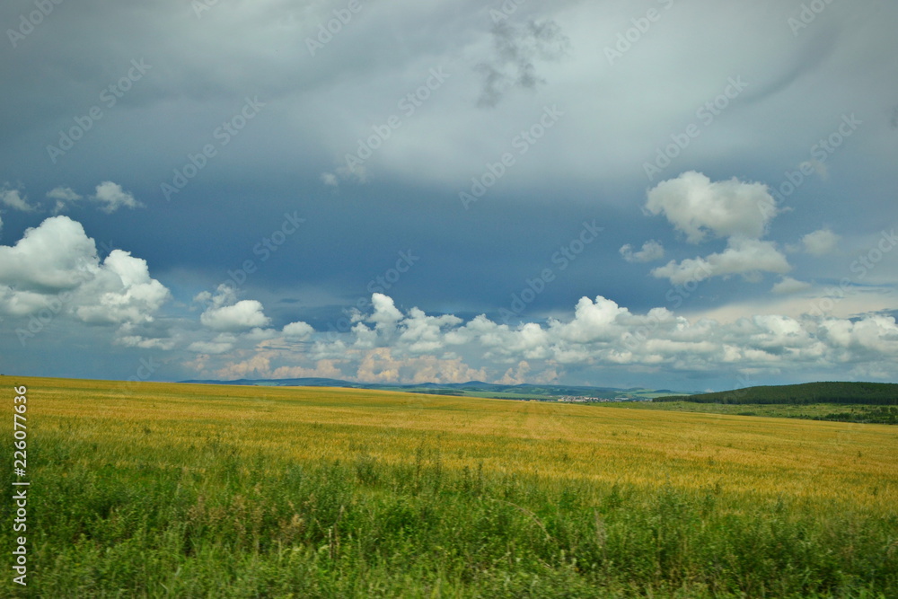 Obraz premium bright fields