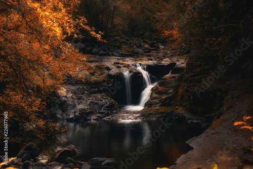 Creek waterfall autumn scenery landscape 